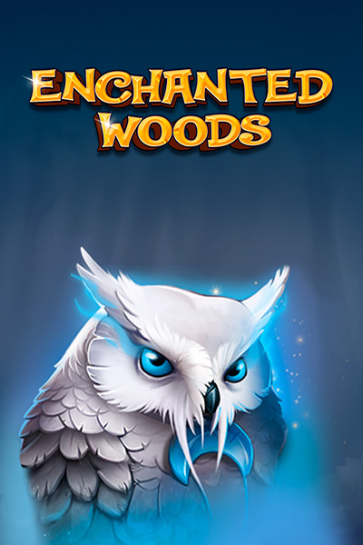 Enchanted Woods